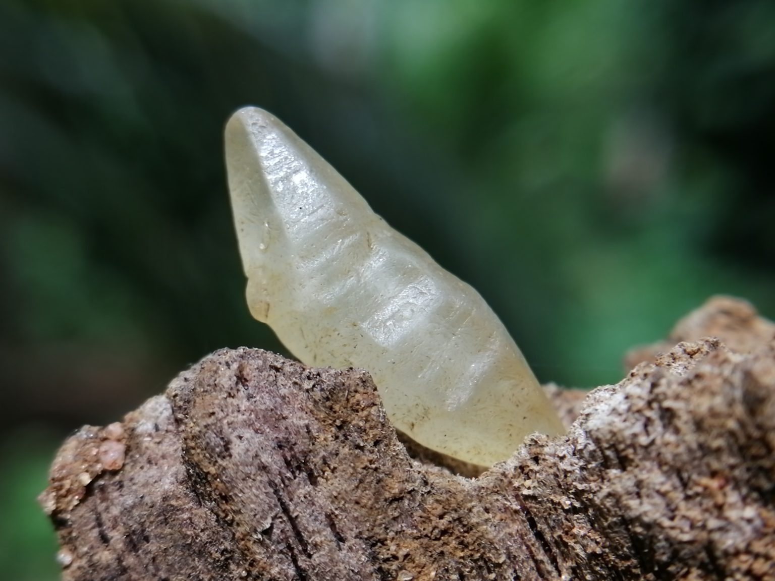 11_ceylon Natural Sapphire Crystal - Danu Group Gemstones