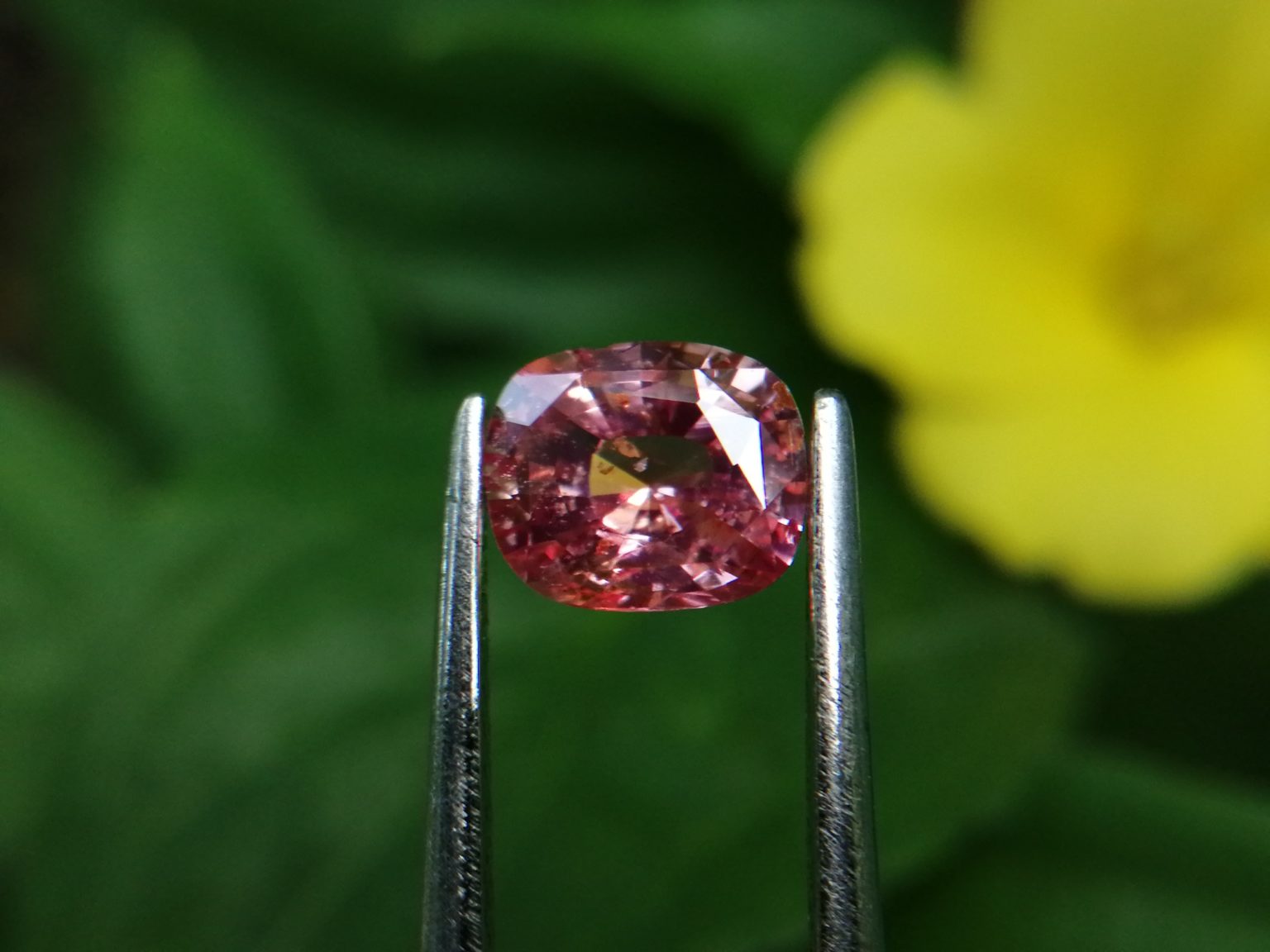 7_Natural Padparadscha sapphire king sapphire from danu group