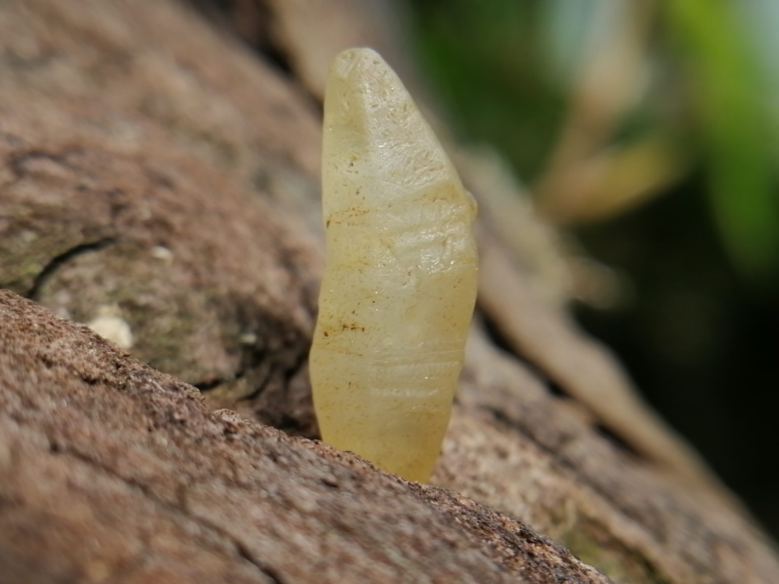 11_ceylon Natural Sapphire Crystal - Danu Group Gemstones