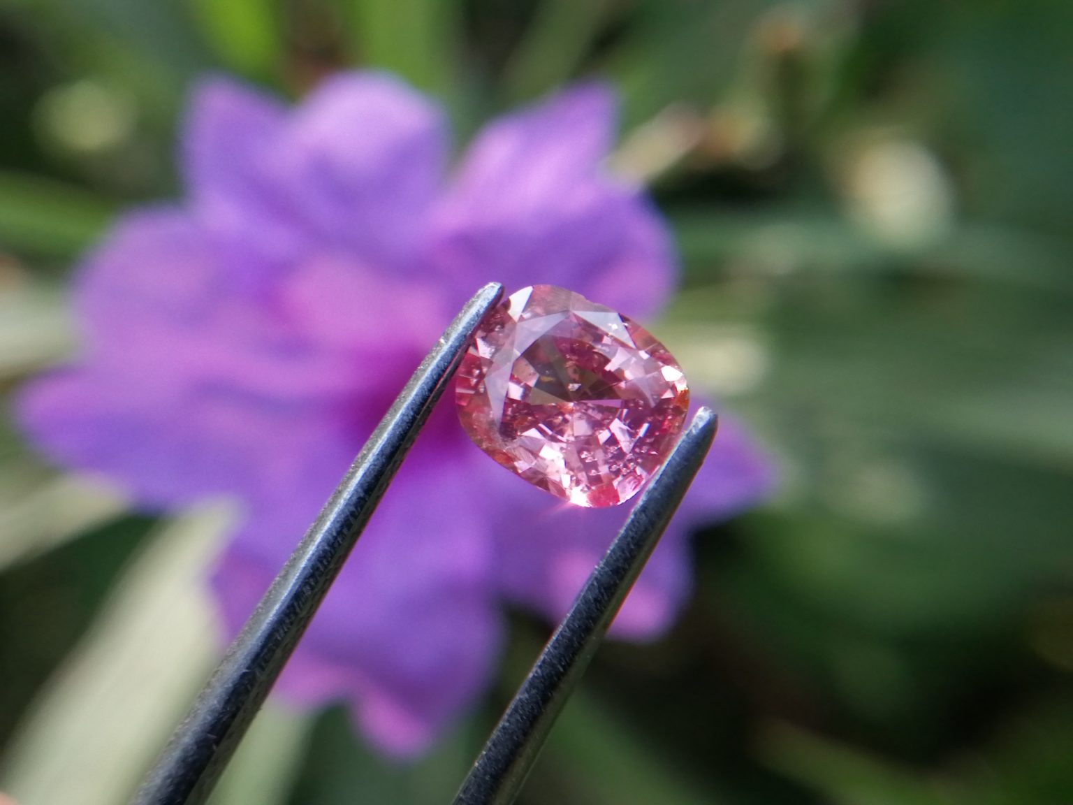 7_Natural Padparadscha sapphire king sapphire from danu group