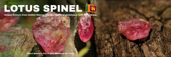 1_ceylon Natural rare lotus spinel from Danu Group