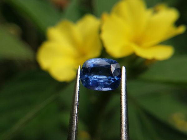 3_Ceylon Natural Cornflower Blue Sapphire Cushion Shape stone from Danu Group