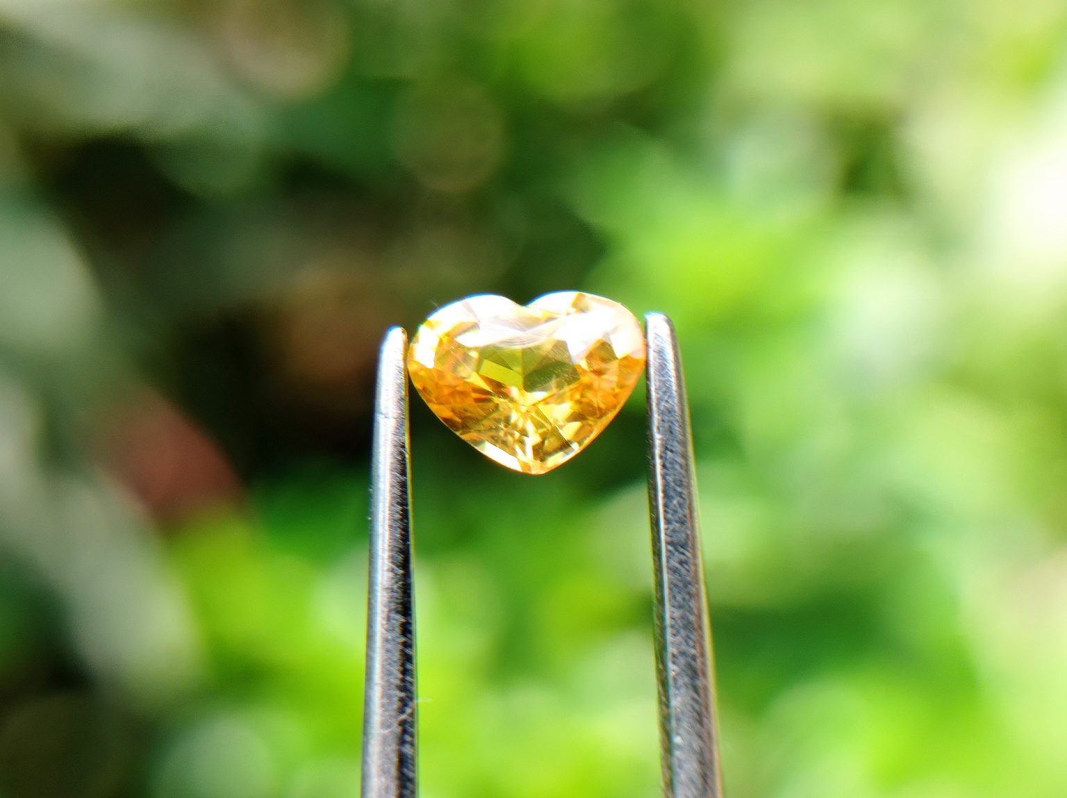 Ceylon Natural Yellow Sapphire from Danu Group Minings