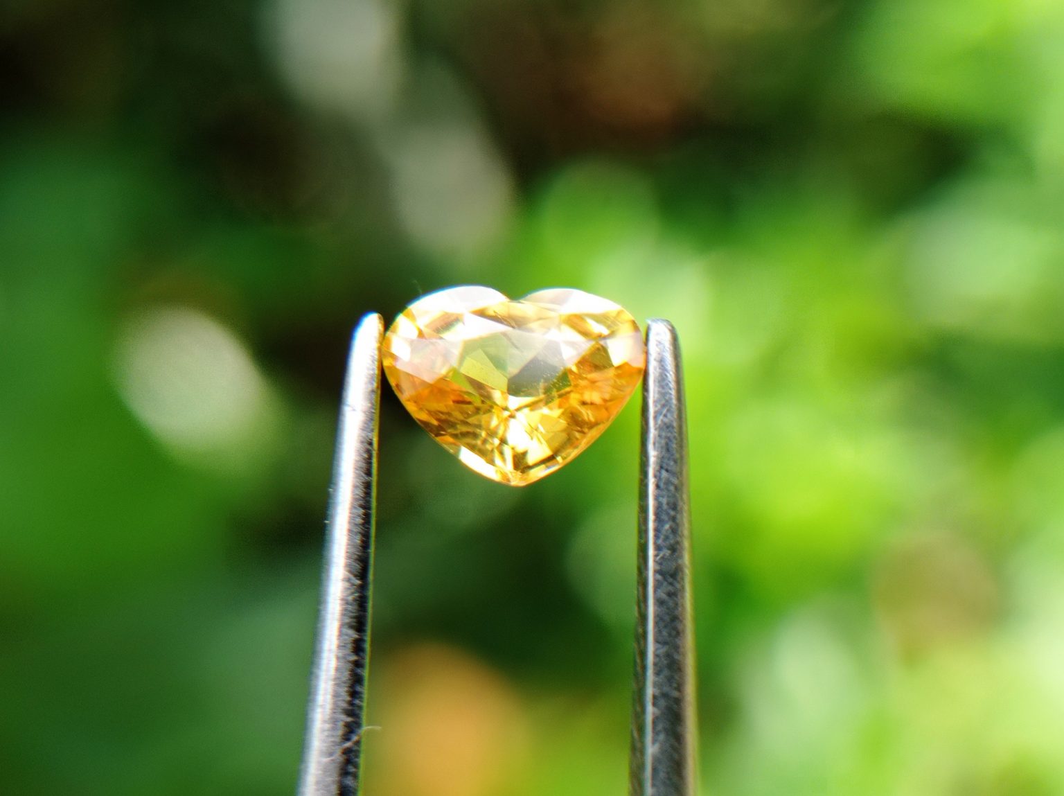 Ceylon Natural Yellow Sapphire from Danu Group Minings