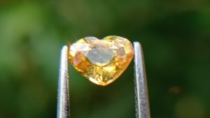 Ceylon Natural Yellow Sapphire from Danu Group Minings
