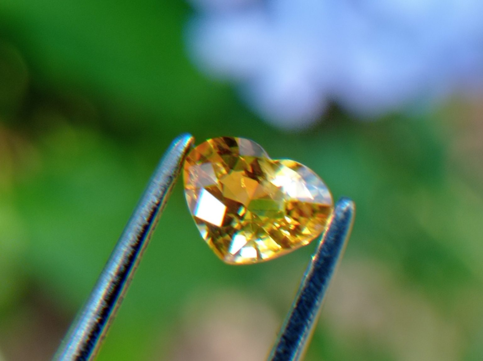 Ceylon Natural Yellow Sapphire from Danu Group Minings