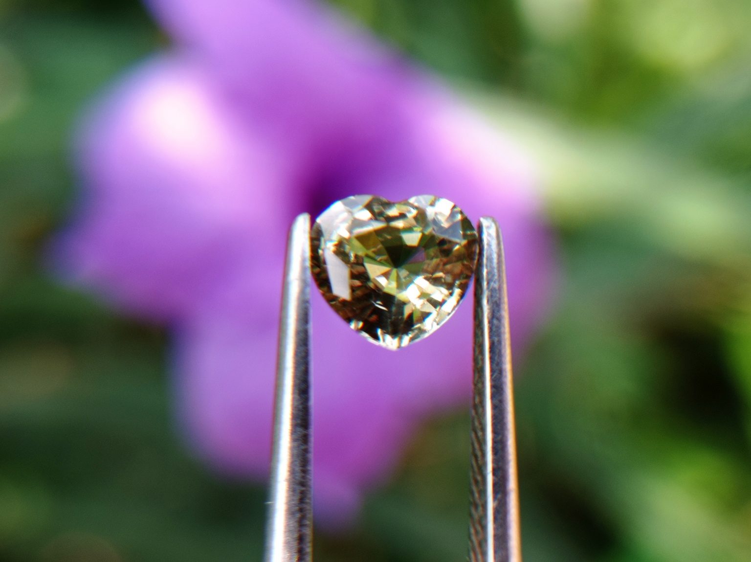 Ceylon Natural light green Sapphire from Danu Group Minings