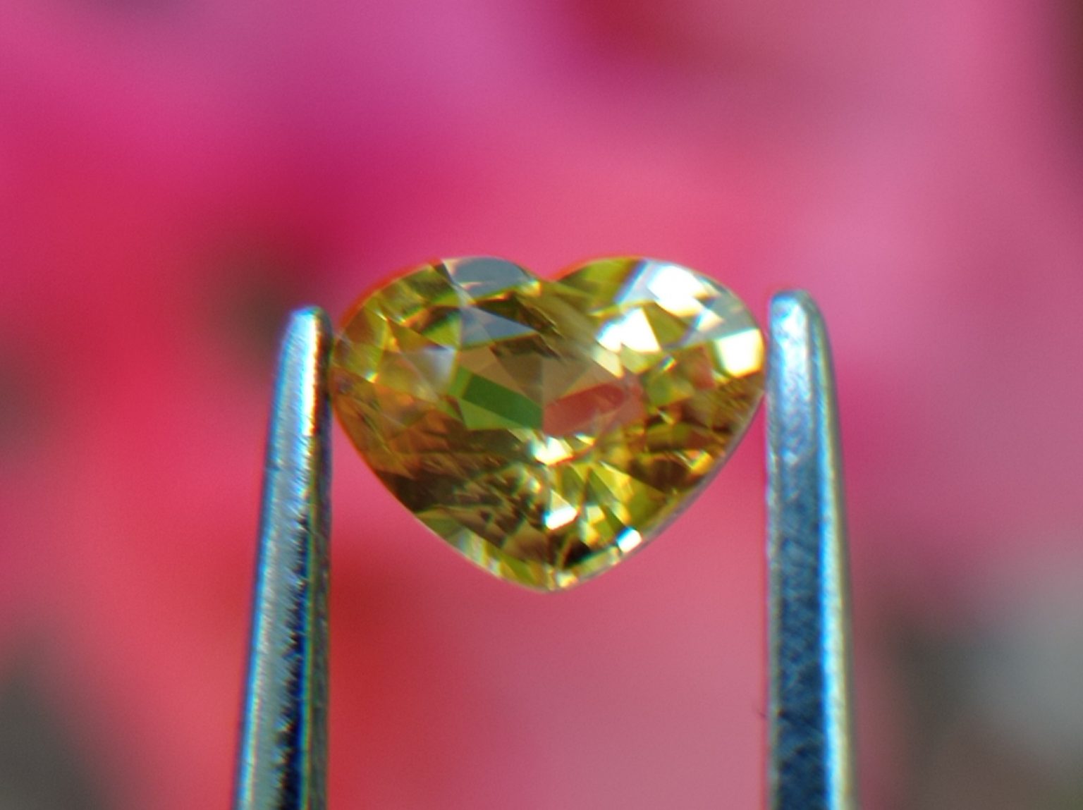 Ceylon Natural Yellow Sapphire from Danu Group Minings