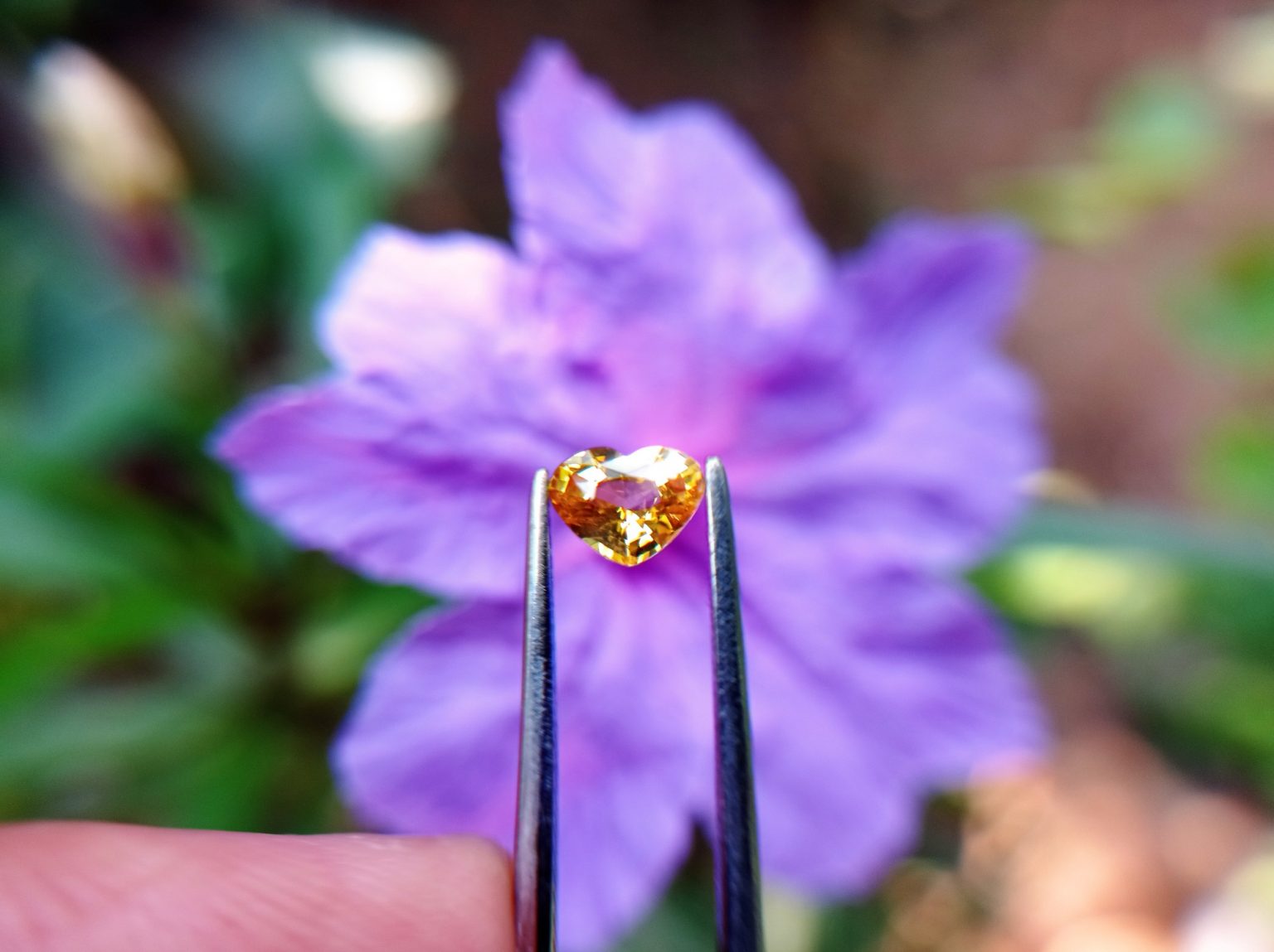 Ceylon Natural Yellow Sapphire from Danu Group Minings