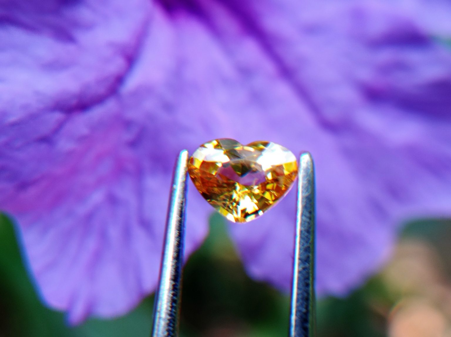 Ceylon Natural Yellow Sapphire from Danu Group Minings