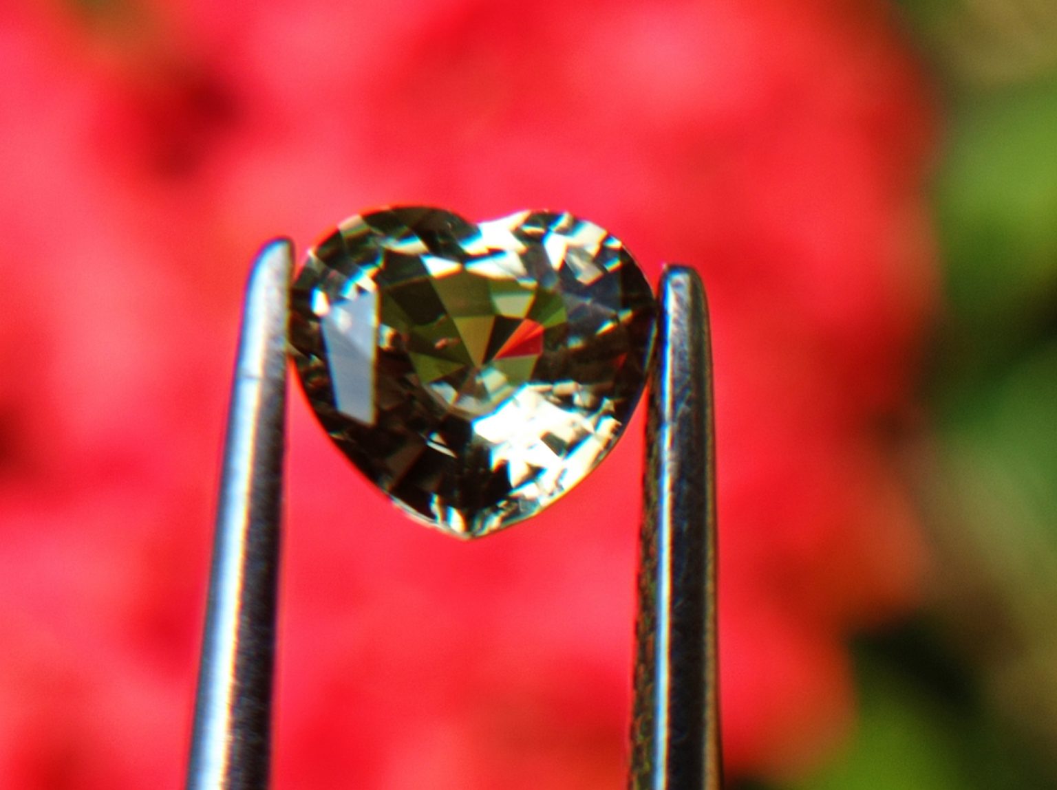 Ceylon Natural light green Sapphire from Danu Group Minings