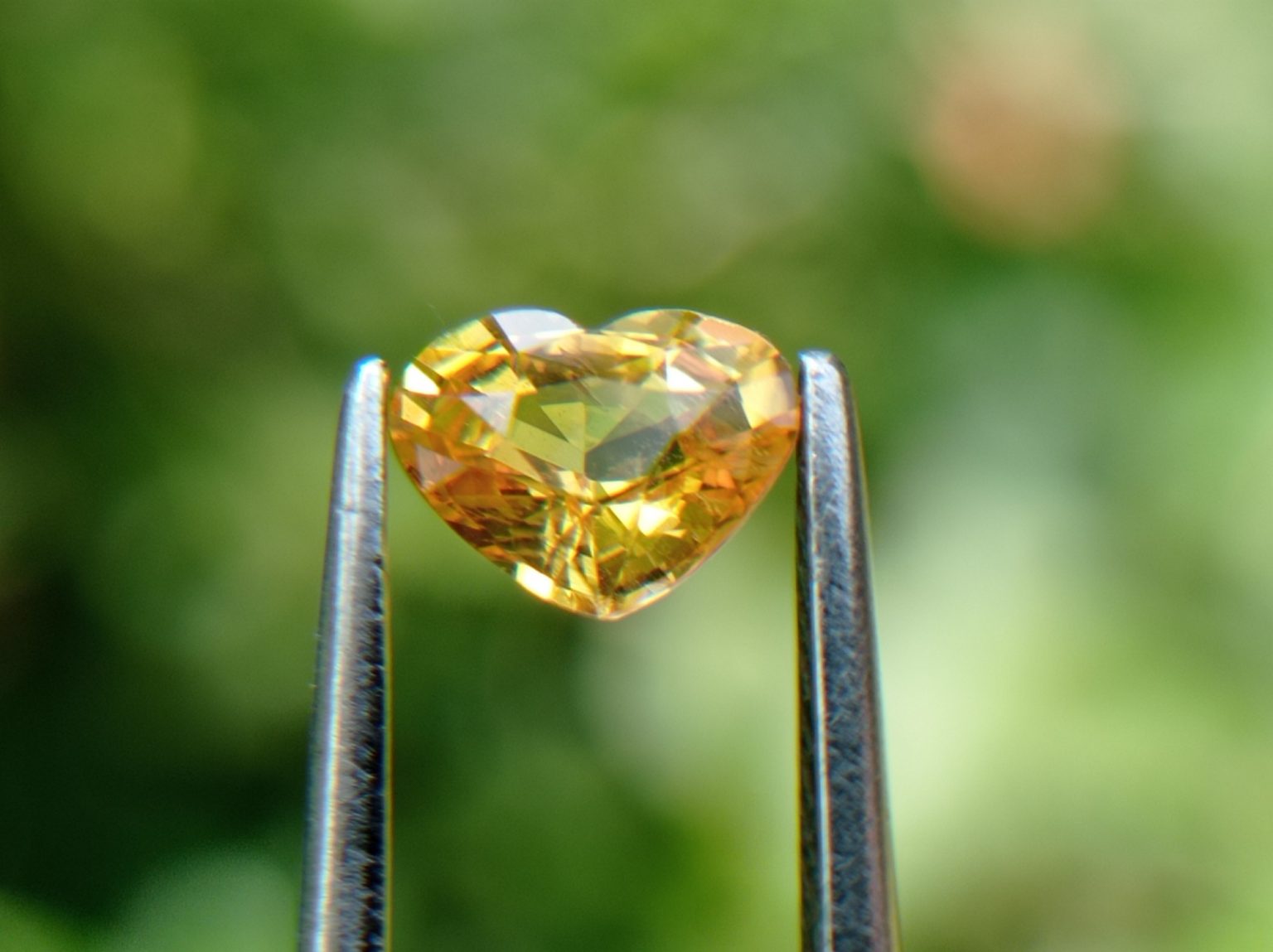 Ceylon Natural Yellow Sapphire from Danu Group Minings