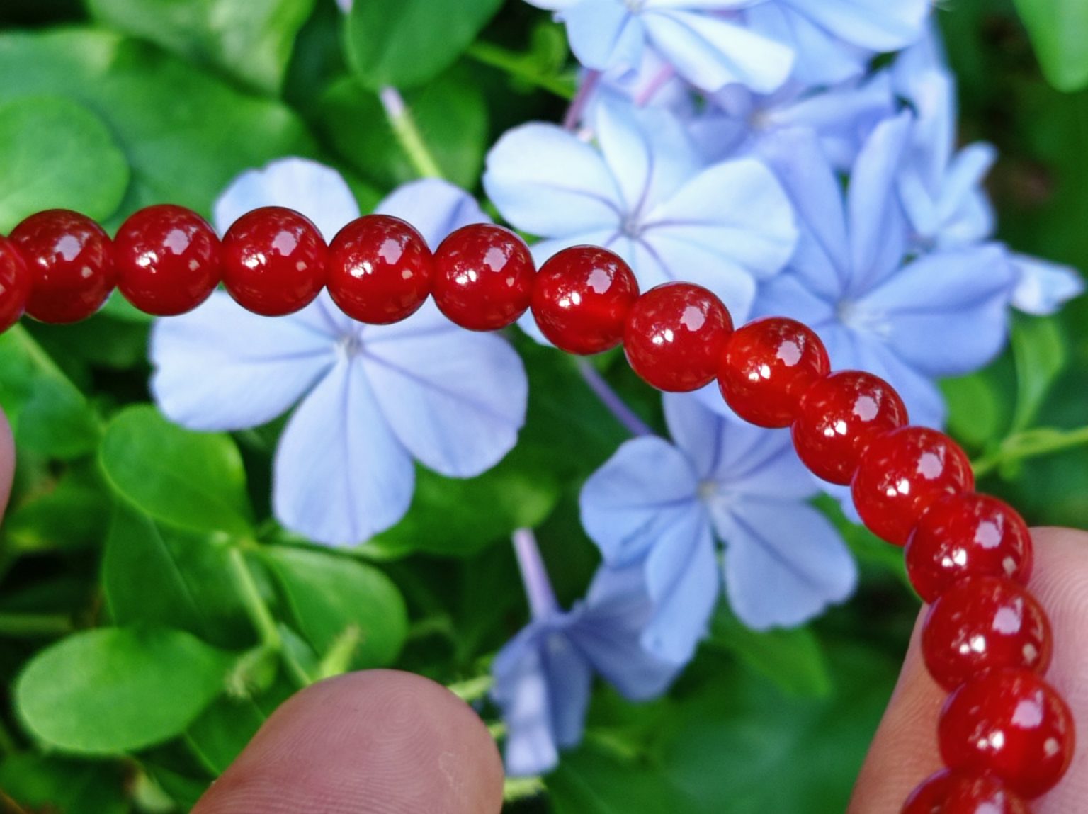 Natural Carnelian Bracelet Healing Gemstone Danu Group Gemstones
