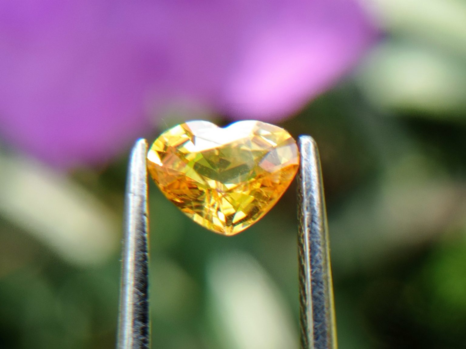 Ceylon Natural Yellow Sapphire from Danu Group Minings