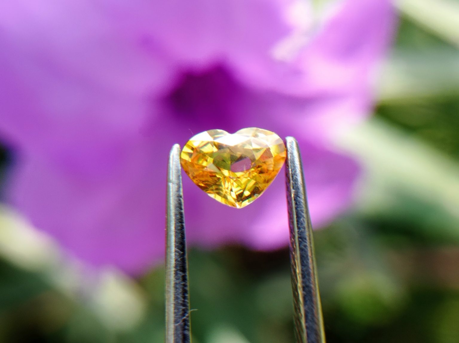 Ceylon Natural Yellow Sapphire from Danu Group Minings
