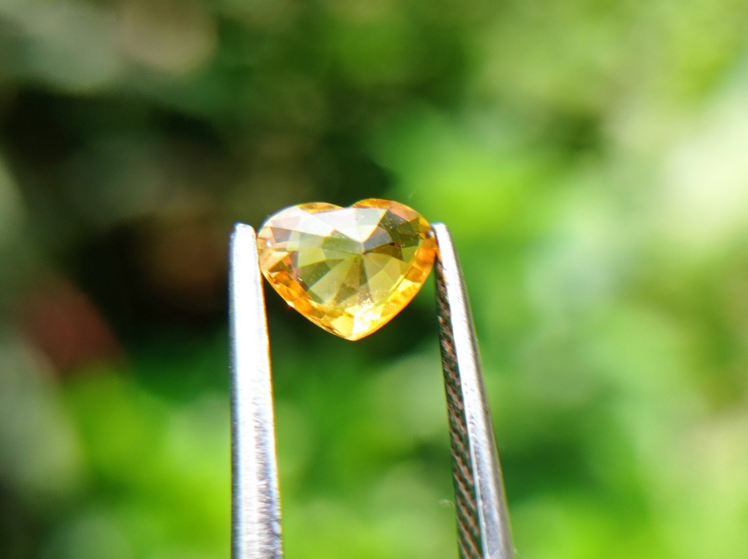 Ceylon Natural Yellow Sapphire from Danu Group Minings