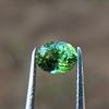5_Natural Peridot Danu Group Gemstones Amazing green