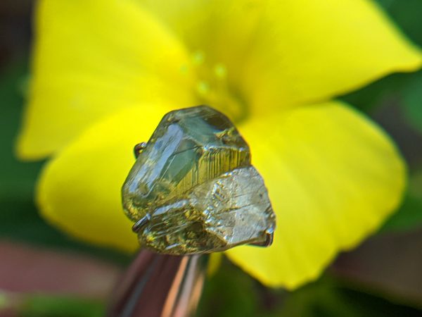 14_Natural Chrysoberyl cats eye crystal Sri Lanka-Danu Group Gemstones 02_compress6