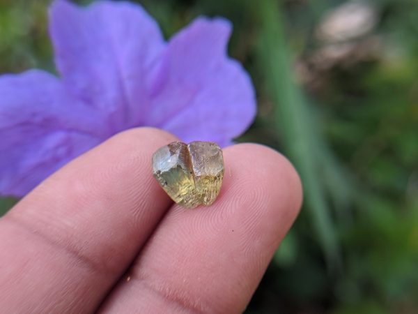 15_Natural Chrysoberyl cats eye crystal Sri Lanka-Danu Group Gemstones 02_compress72