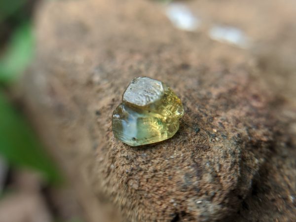 16_Natural Chrysoberyl cats eye crystal Sri Lanka-Danu Group Gemstones 02_compress27