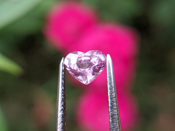 19_Natural pink sapphire heartsri lanka danu group Gemstones_compress53