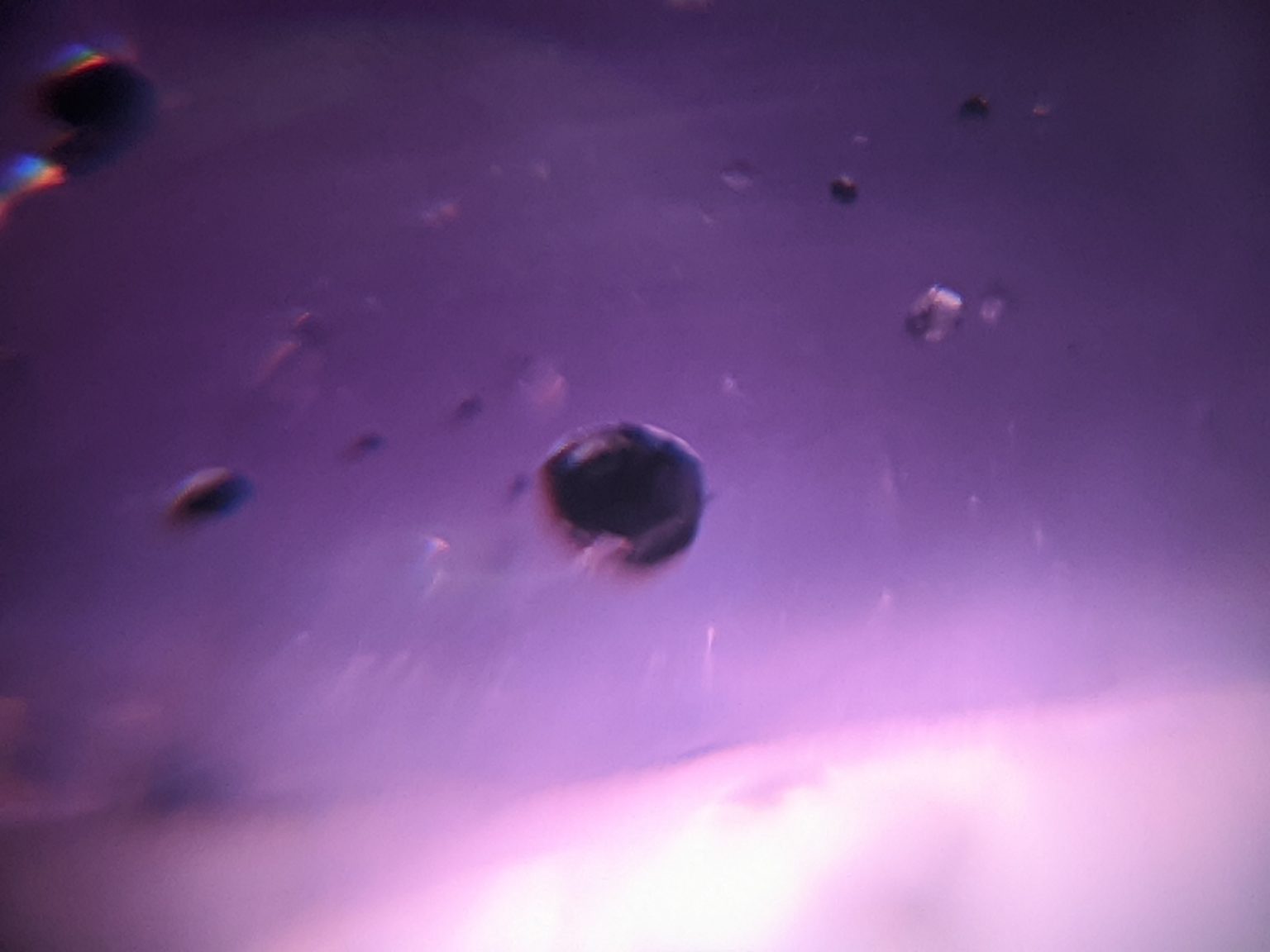 6_Natural Purple Star Sapphire Sri Lanka-Danu Group Gemstones 02_compress25