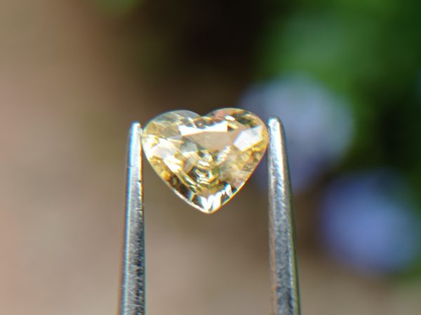 6_Natural light yellow Sapphire from Danu Group Gemstones