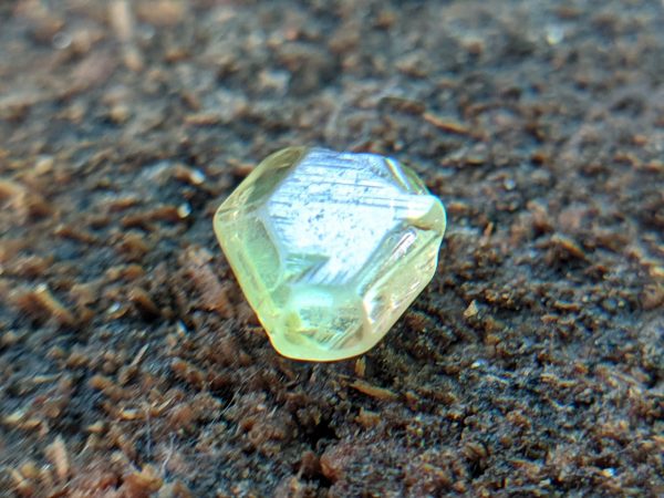 22_Rare Natural Chrysoberyl Crystal from Danu Group Gemstones Mining_compress9