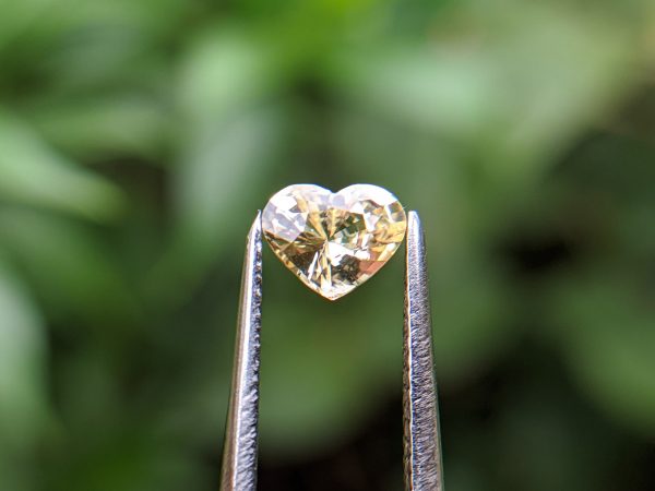 31_Natural yellow sapphire heart sri lanka danu group Gemstones_compress16