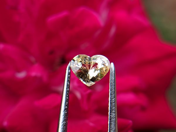 35_Natural yellow sapphire heart sri lanka danu group Gemstones_compress31