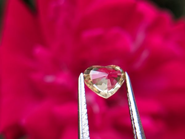 36_Natural yellow sapphire heart sri lanka danu group Gemstones_compress24