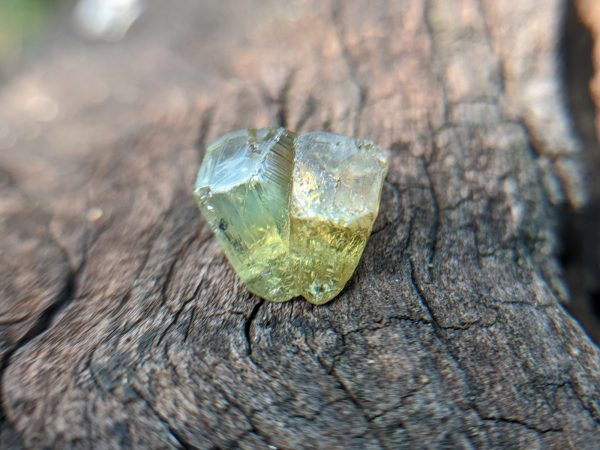 3_Natural Chrysoberyl cats eye crystal Sri Lanka-Danu Group Gemstones 02_compress27