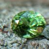 4_Natural Peridot Danu Group Gemstones Amazing green