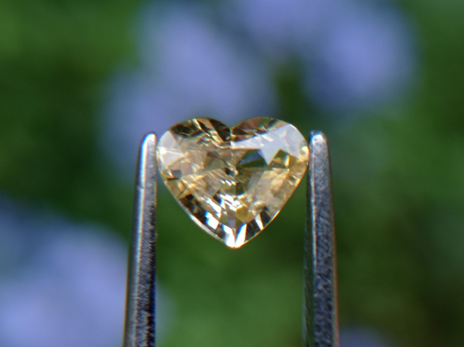 6_Natural light yellow Sapphire from Danu Group Gemstones