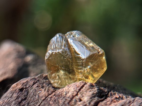5_Natural Chrysoberyl cats eye crystal Sri Lanka-Danu Group Gemstones 02_compress98