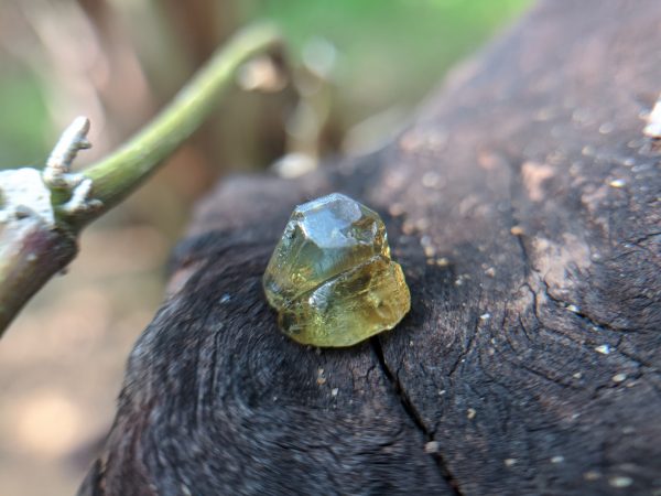 6_Natural Chrysoberyl cats eye crystal Sri Lanka-Danu Group Gemstones 02_compress5