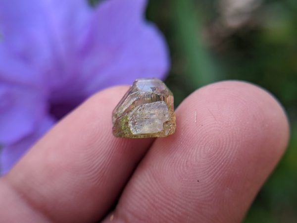 7_Natural Chrysoberyl cats eye crystal Sri Lanka-Danu Group Gemstones 02_compress20