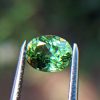 5_Natural Peridot Danu Group Gemstones Amazing green