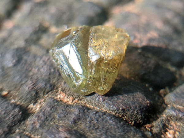 9_Natural Chrysoberyl cats eye crystal Sri Lanka-Danu Group Gemstones 02_compress33