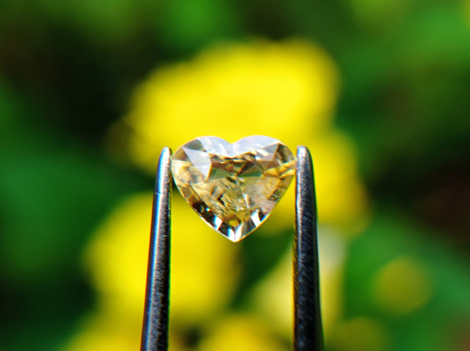 6_Natural light yellow Sapphire from Danu Group Gemstones