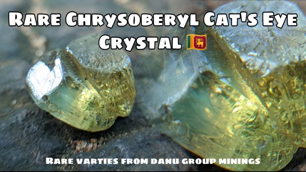 3_Natural Chrysoberyl cats eye crystal Sri Lanka-Danu Group Gemstones 02_compress27
