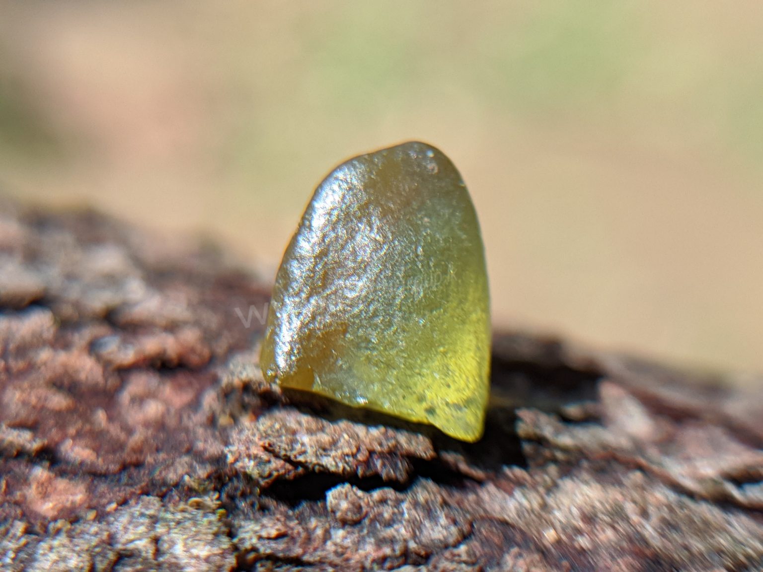 Rare Natural Bi colour Zircon Danu group collection