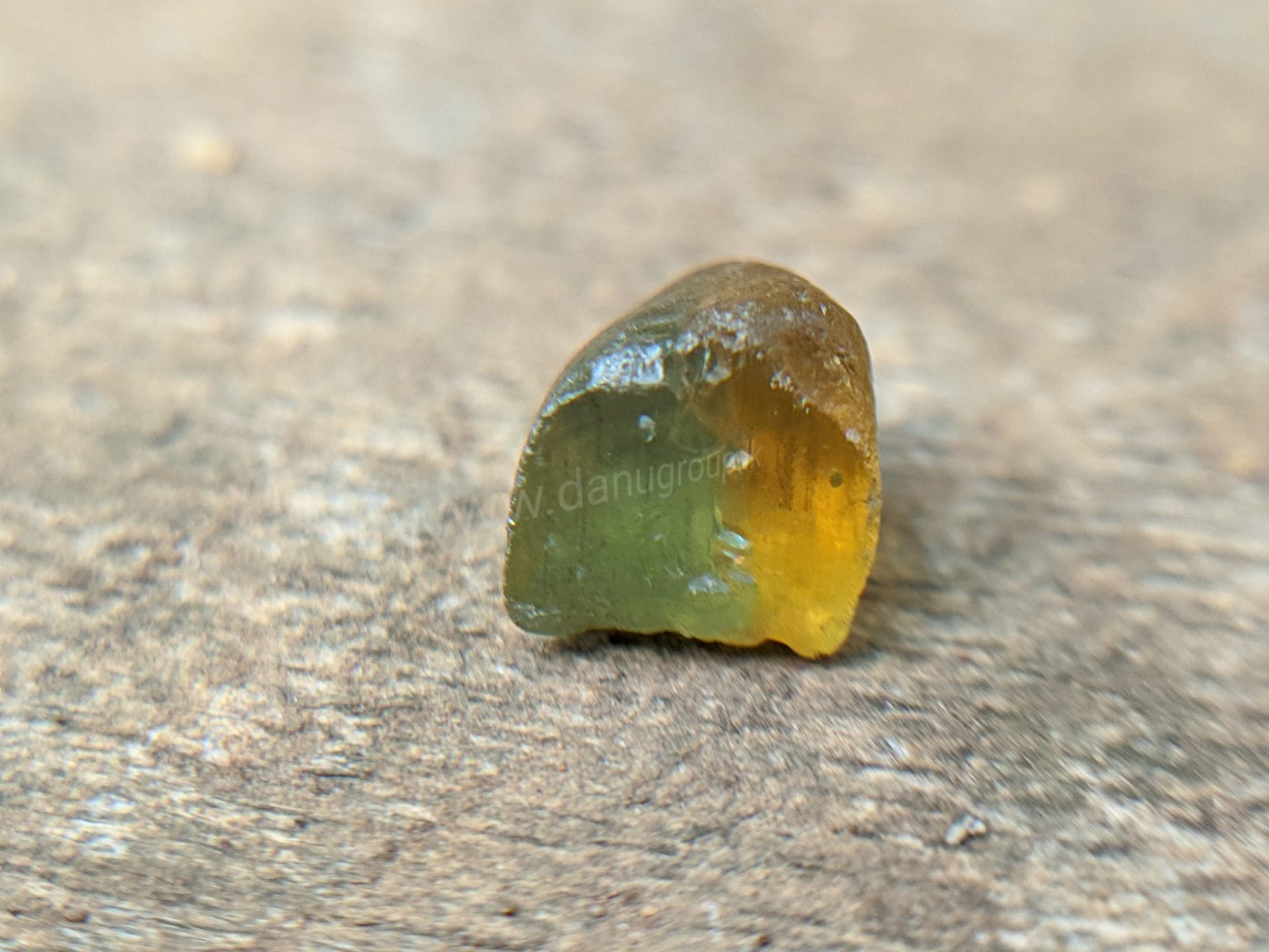 Rare Natural Bi colour Zircon Danu group collection