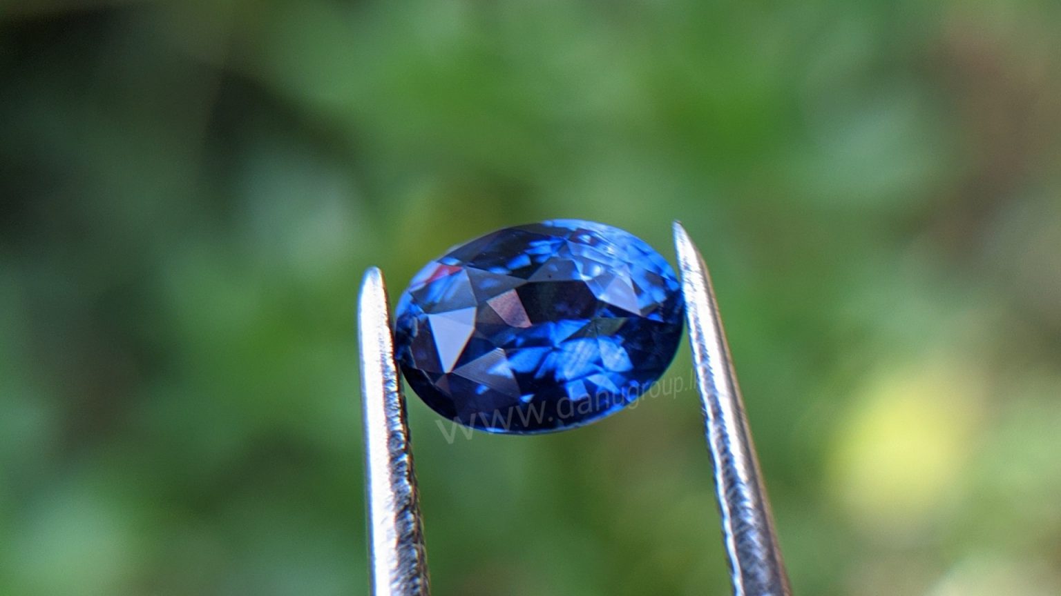 Cornflower Blue Sapphire Sri Lanka - Danu Group Gemstones