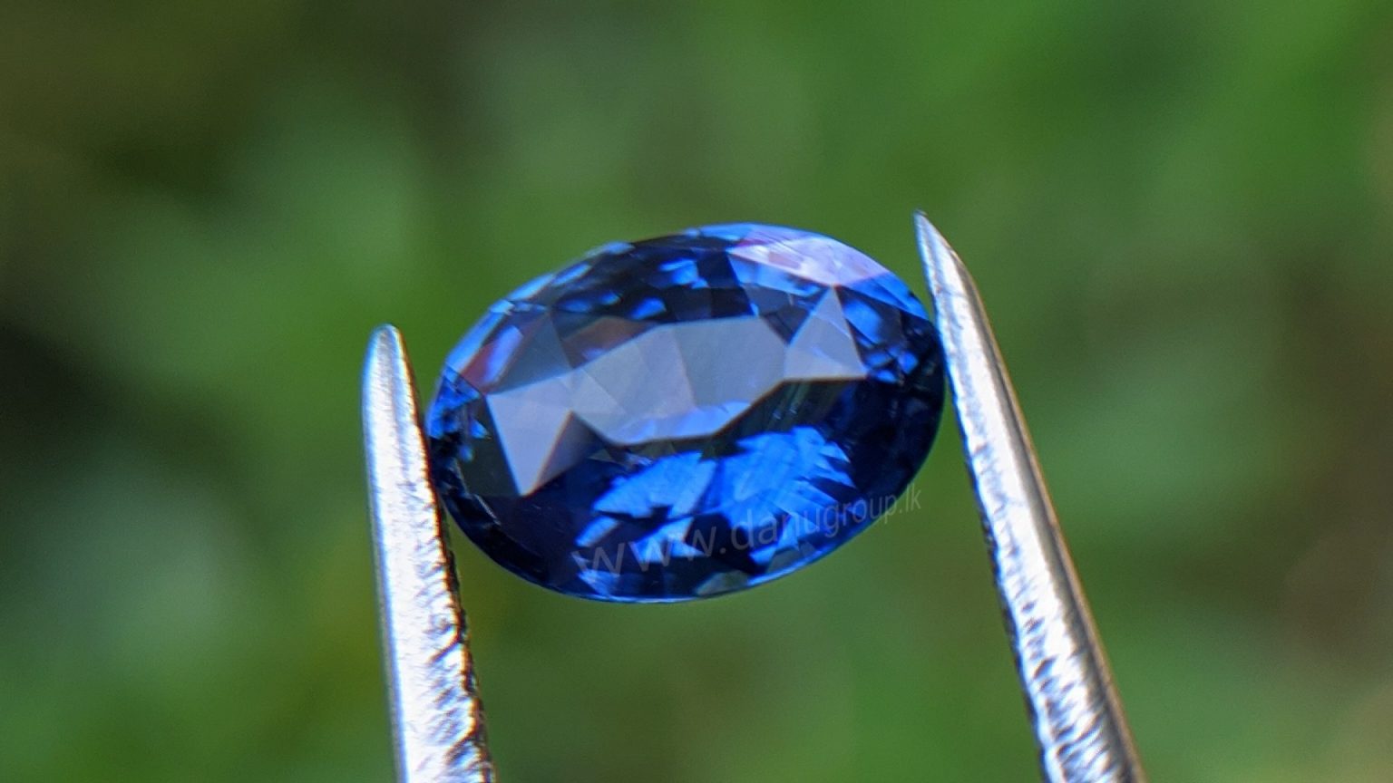 Cornflower Blue Sapphire Sri Lanka - Danu Group Gemstones