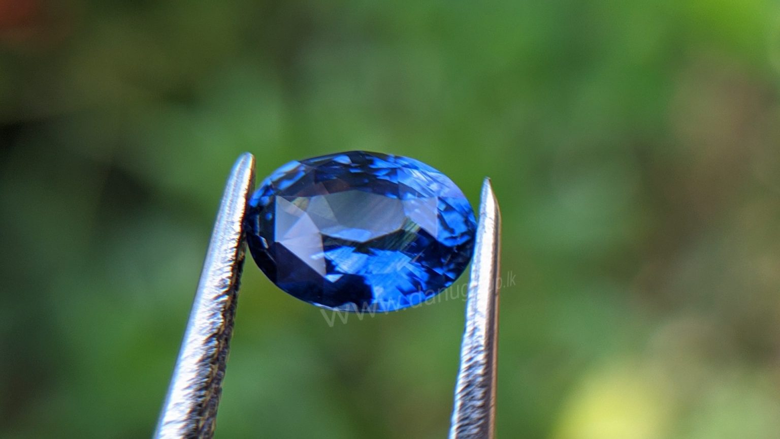 Cornflower Blue Sapphire Sri Lanka - Danu Group Gemstones