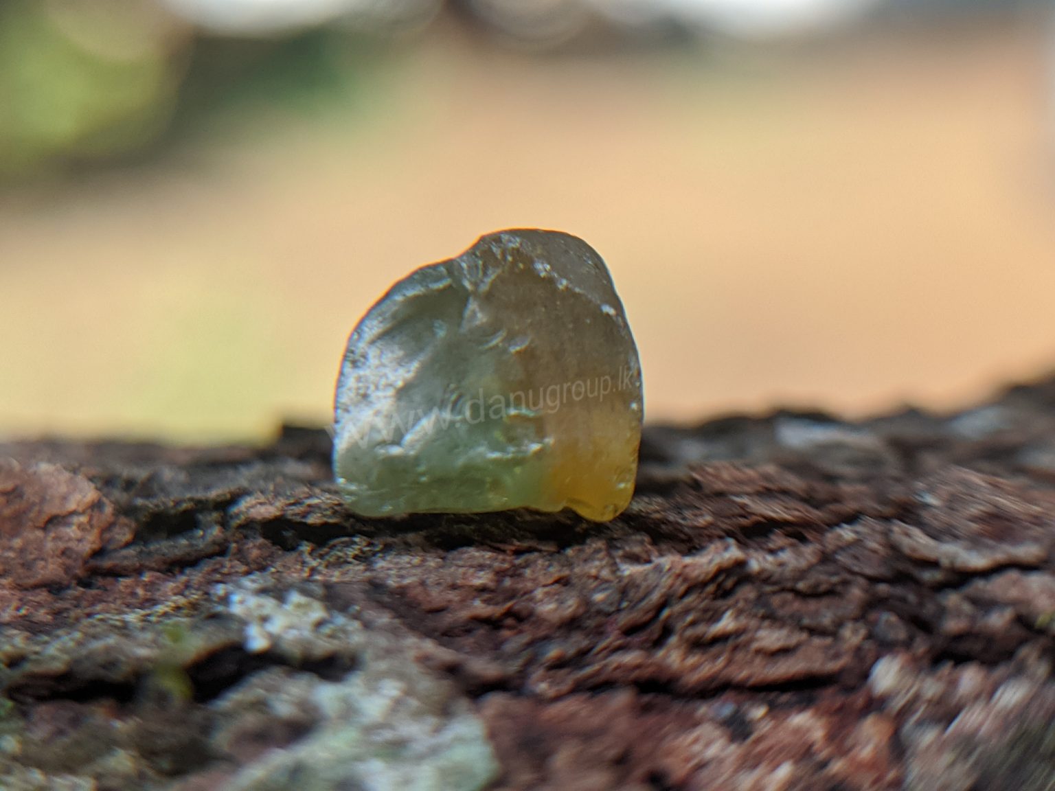 Rare Natural Bi colour Zircon Danu group collection