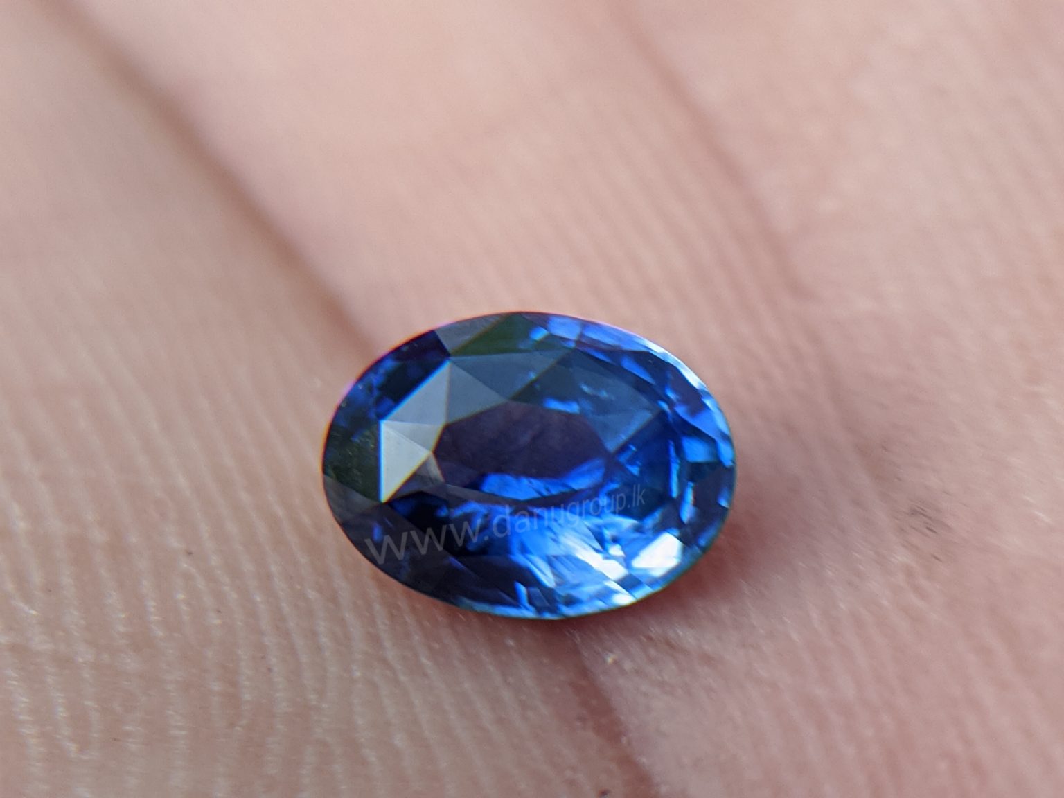 Cornflower Blue Sapphire Sri Lanka - Danu Group Gemstones
