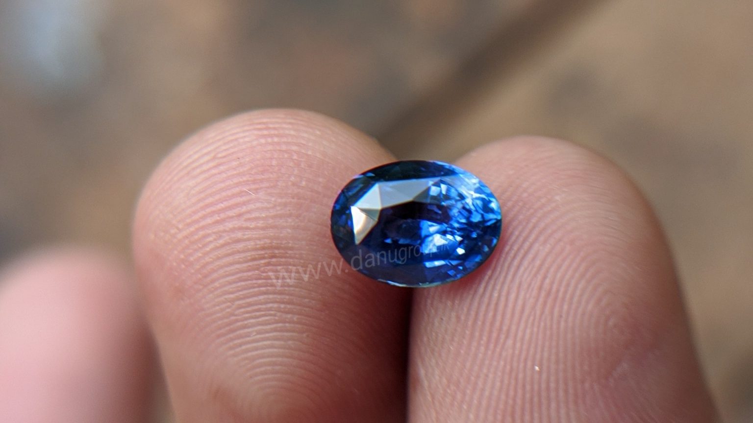 Cornflower Blue Sapphire Sri Lanka - Danu Group Gemstones