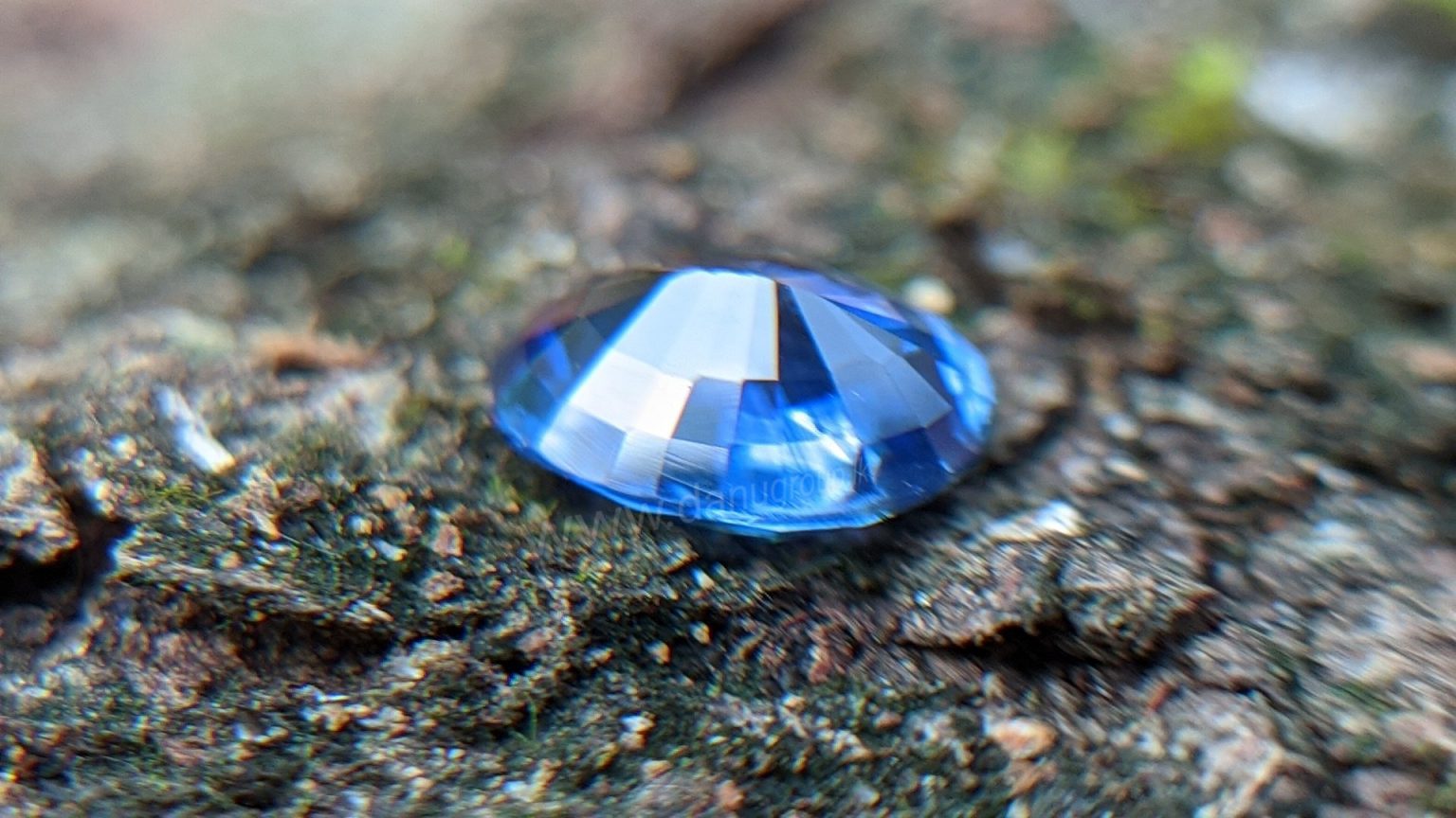 Cornflower Blue Sapphire Sri Lanka - Danu Group Gemstones